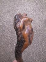 pommeau-de-canne-de-tranchee-nue-chevelue-4.jpg